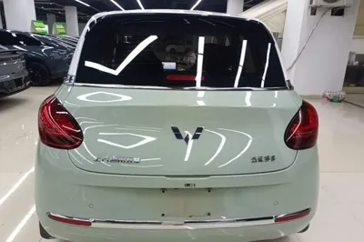 Wuling Bingo