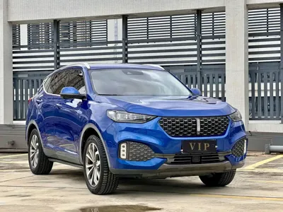 WEY Wey VV6