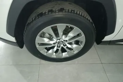 Toyota Wildlander