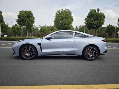NETA Neta GT