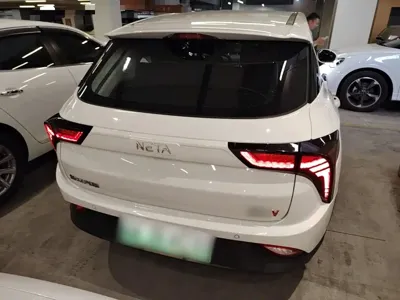 NETA Neta V
