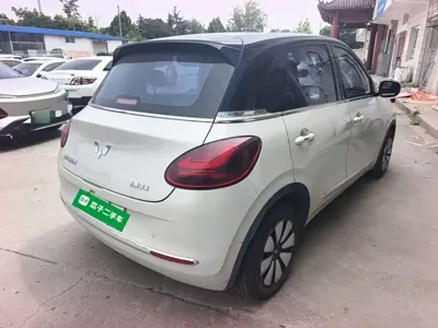 Wuling Bingo