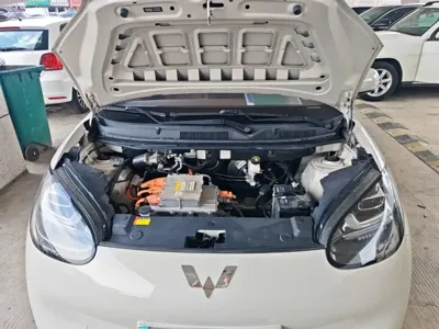 Wuling Bingo