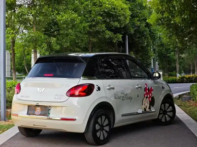Wuling Bingo