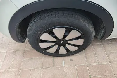 Wuling Bingo