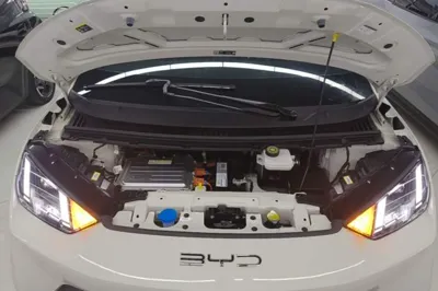 BYD Seagull