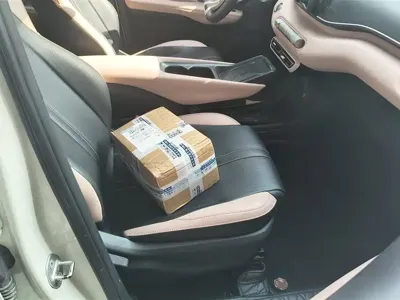 BYD Seagull