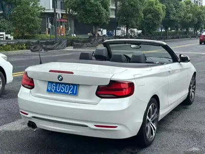 BMW 2 Series (Import)