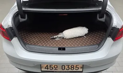 Renault-KoreaSamsung SM6