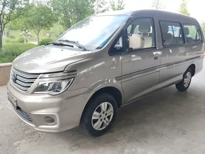 Fengxing Lingzhi