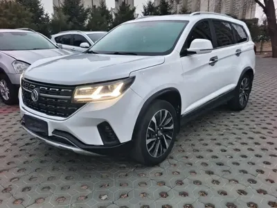 Fengxing Fengxing T5L