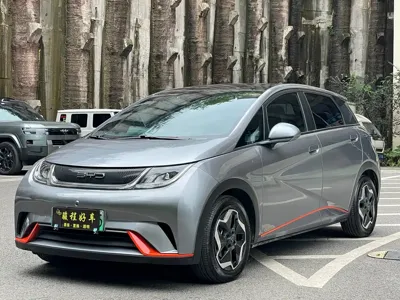 BYD Dolphin
