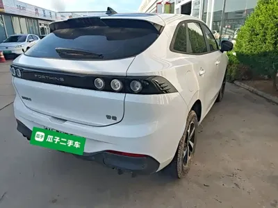 Fengxing Fengxing Leiting