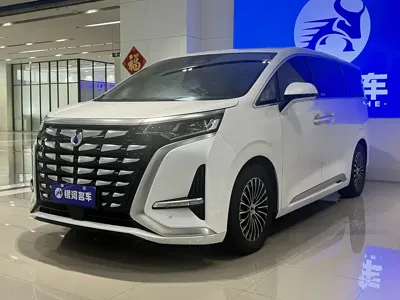 Denza Denza D9