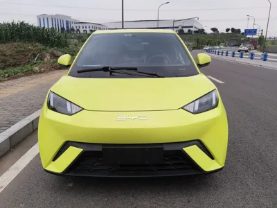 BYD Seagull
