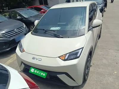 BYD Seagull