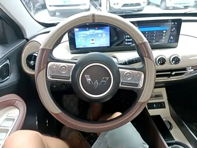 Wuling Bingo