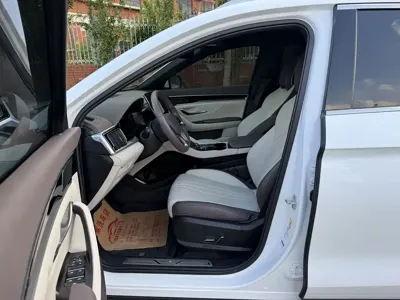 BYD PLUS New Energy