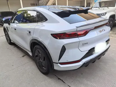 BYD L EV
