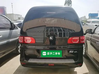 Fengxing Lingzhi