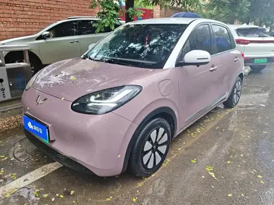 Wuling Bingo