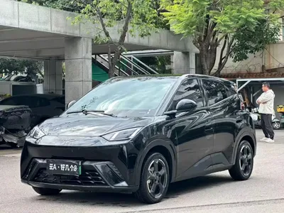 BYD Dolphin