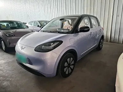 Wuling Bingo