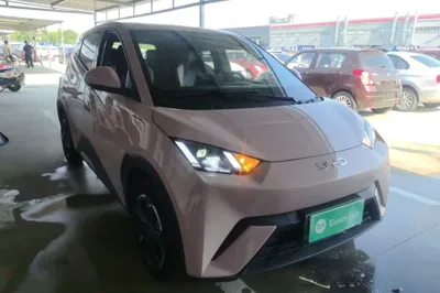 BYD Seagull