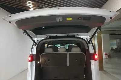 Denza D9