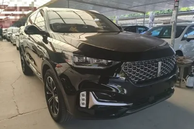 WEY VV6