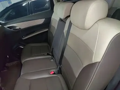 BYD MAX New Energy