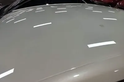 Citroen C4 Sega
