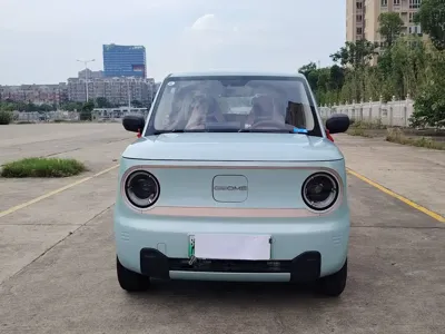 Galaxy Panda