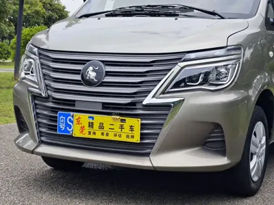 Fengxing Lingzhi