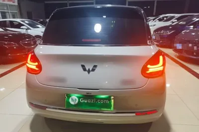 Wuling Bingo