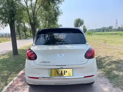 Wuling Bingo