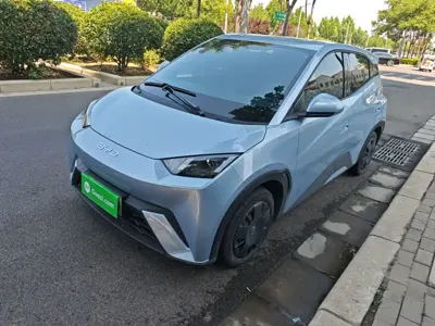 BYD Seagull