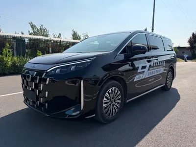 BYD M9