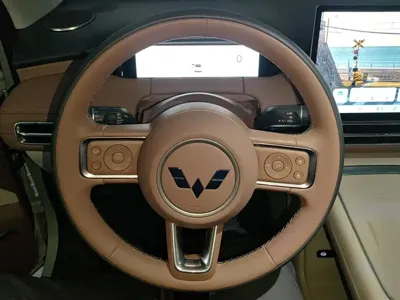 Wuling 缤果S
