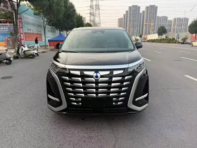 Denza Denza D9