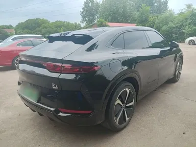 BYD L EV