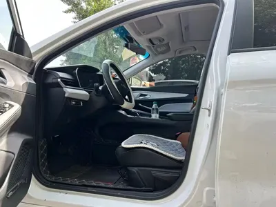 Geely Binrui