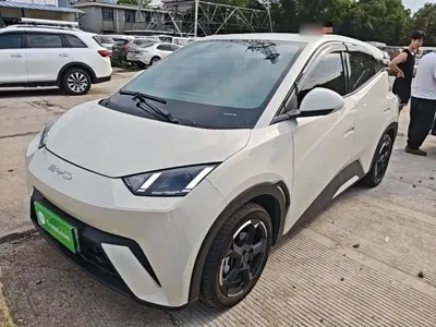 BYD Seagull
