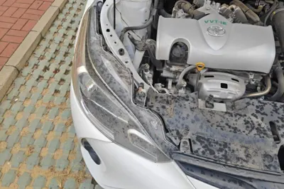 Toyota YARiS L Zhi Xiang