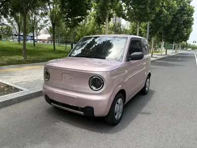 Galaxy Panda