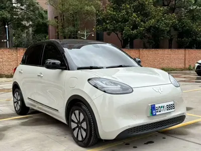 Wuling Bingo