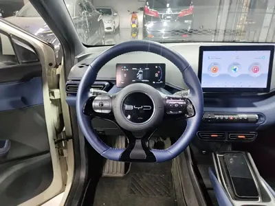BYD Seagull