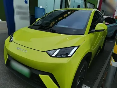 BYD Seagull