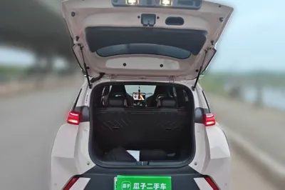 BYD Seagull