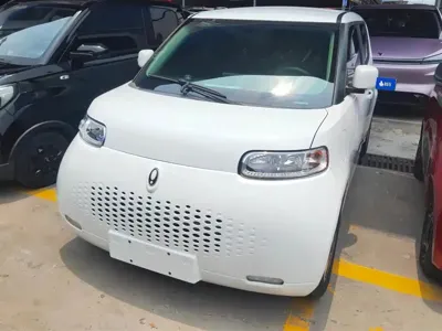 ORA Ora White Cat